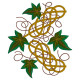GFE-CVY-1-15