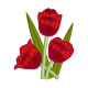 GFE-ATP-1-17
