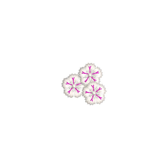 Bridal Grace machine embroidery