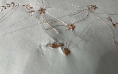 When machine embroidery goes wrong