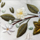 Bridal Grace machine embroidery