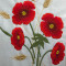 Fields of Poppies 3