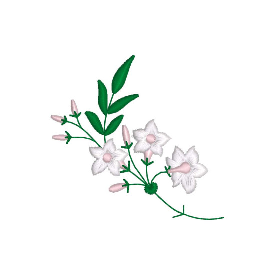 Graceful Jasmines 1