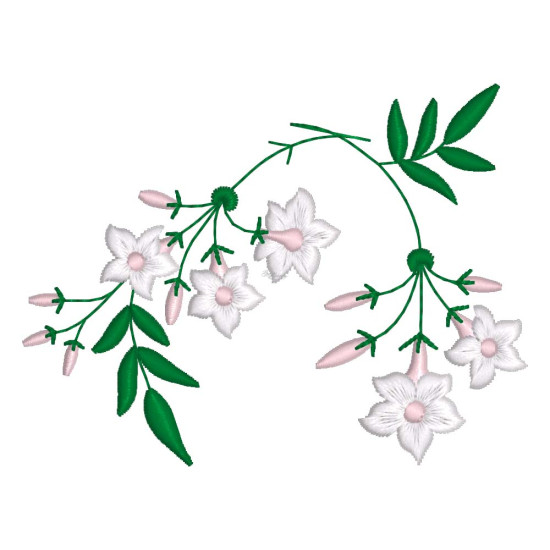 Graceful Jasmines 1