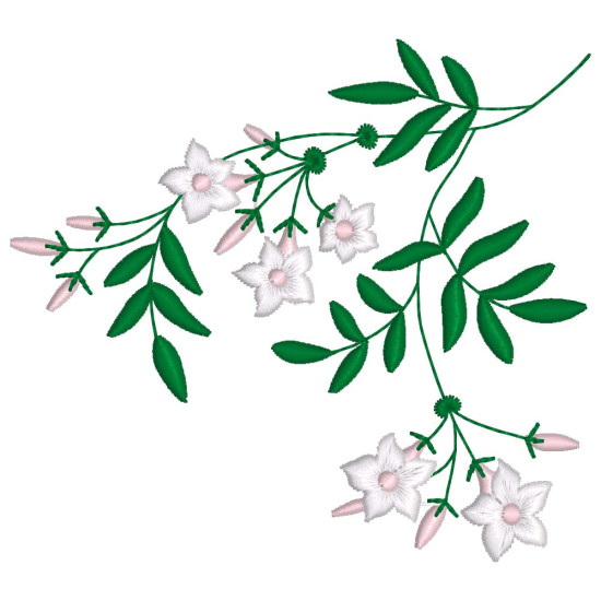 Graceful Jasmines 1