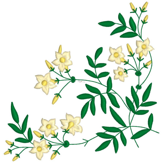 Graceful Jasmines 2