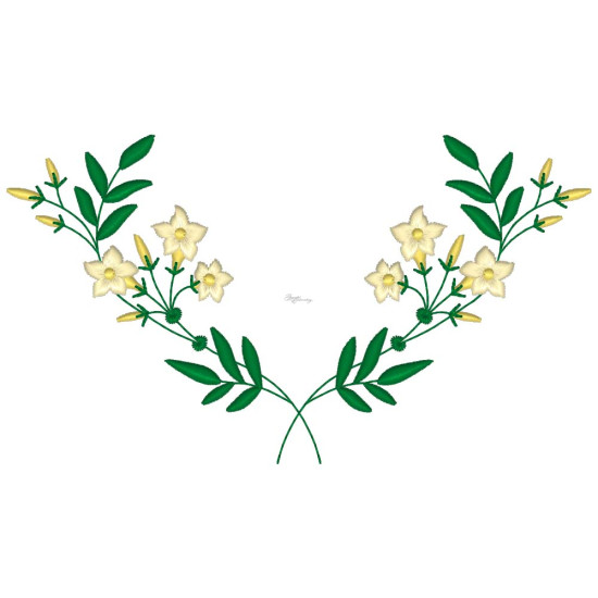 Graceful Jasmines 2