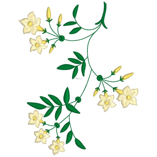 Graceful Jasmines 2