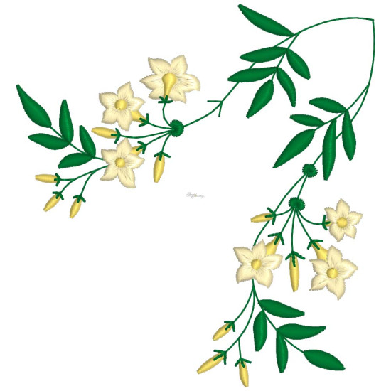 Graceful Jasmines 2
