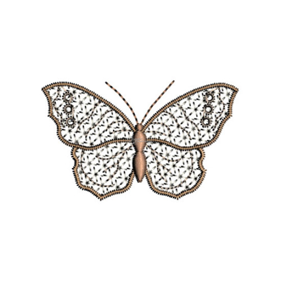 Graceful Wings 1