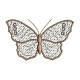 Graceful Wings 1