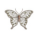 Graceful Wings 1