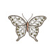 Graceful Wings 1