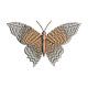 Graceful Wings 1