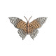 Graceful Wings 1