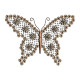 Graceful Wings 1