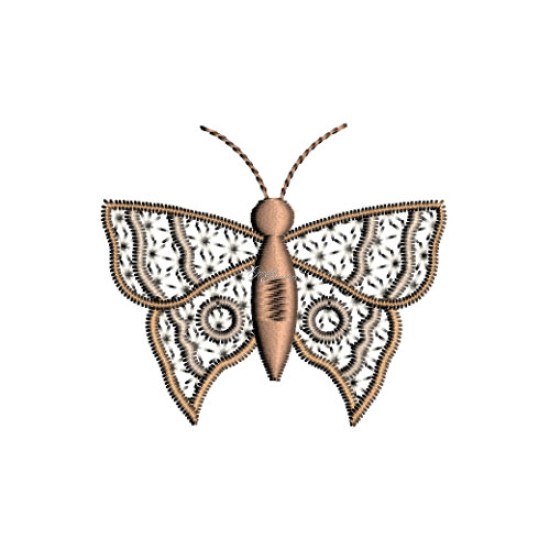 Graceful Wings 1