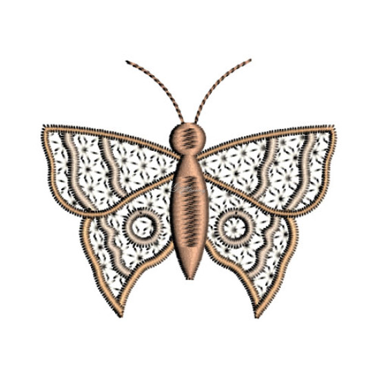 Graceful Wings 1