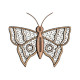 Graceful Wings 1