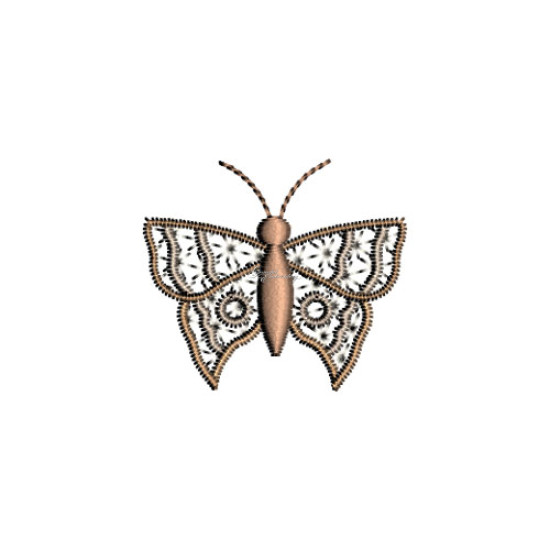 Graceful Wings 1