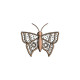 Graceful Wings 1