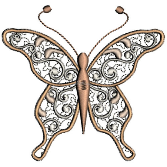 Graceful Wings 1