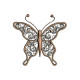 Graceful Wings 1