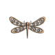Graceful Wings 1