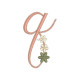 GFE-TGL-17