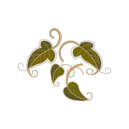 Graceful Ivy 1  