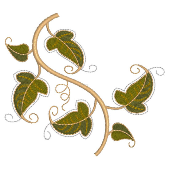 Graceful Ivy 1  