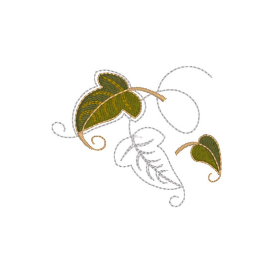 Graceful Ivy 1  