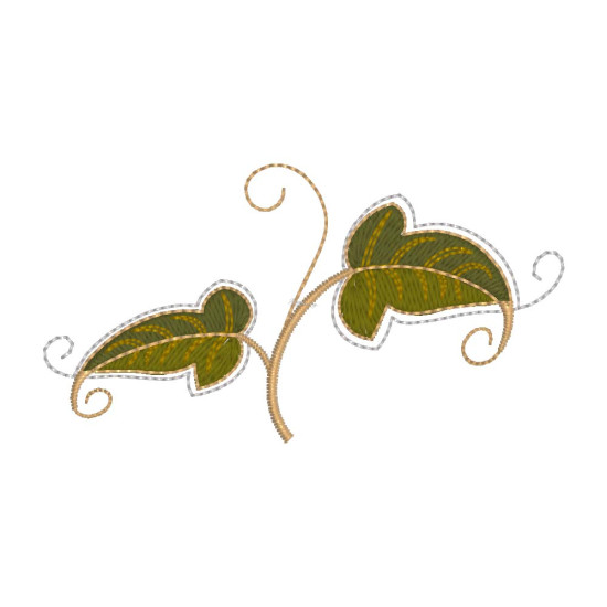 Graceful Ivy 1  