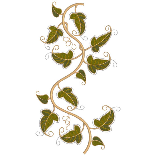 Graceful Ivy 2  