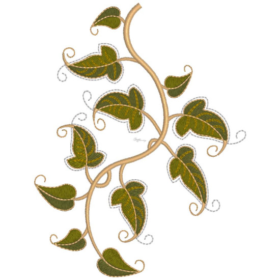Graceful Ivy 2  