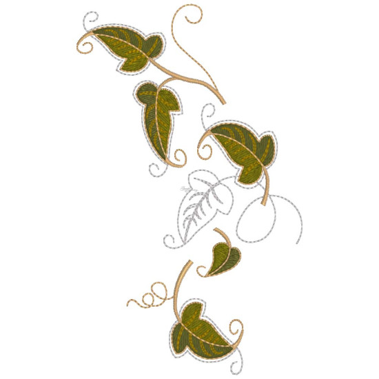Graceful Ivy 2  