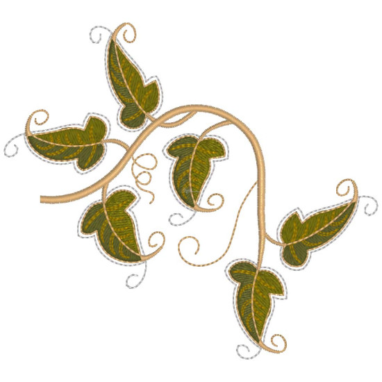 Graceful Ivy 2  