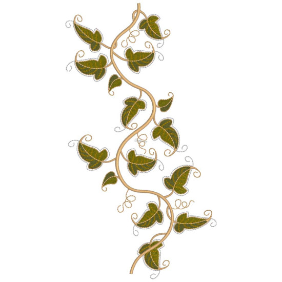 Graceful Ivy 3  
