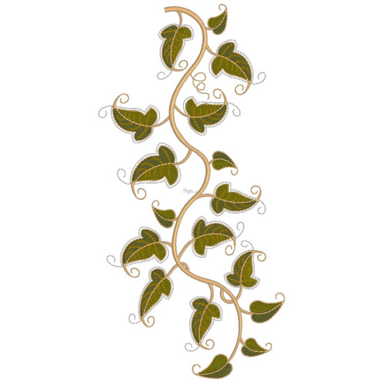 Graceful Ivy 3  
