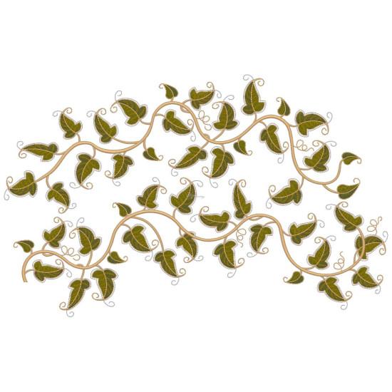 Graceful Ivy 5  