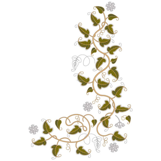 Graceful Ivy 5  