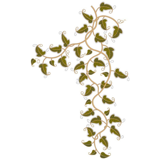 Graceful Ivy 5  
