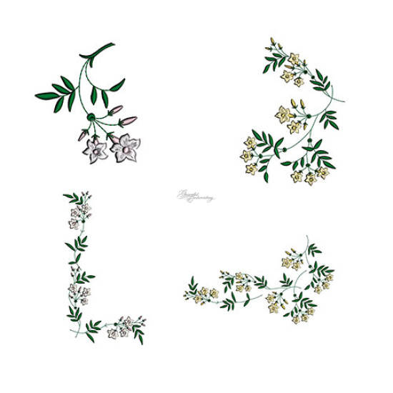 The Graceful Jasmines Collection 