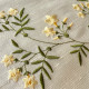 Graceful Jasmines 2