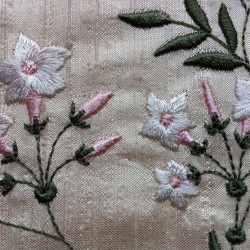 The Graceful Jasmines Collection 