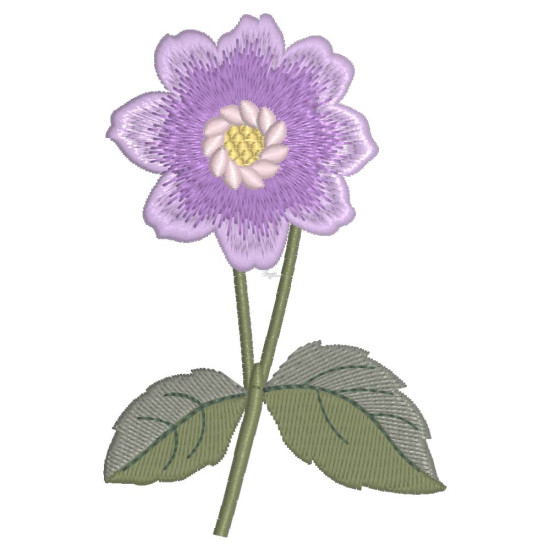 In my Graceful Garden 1