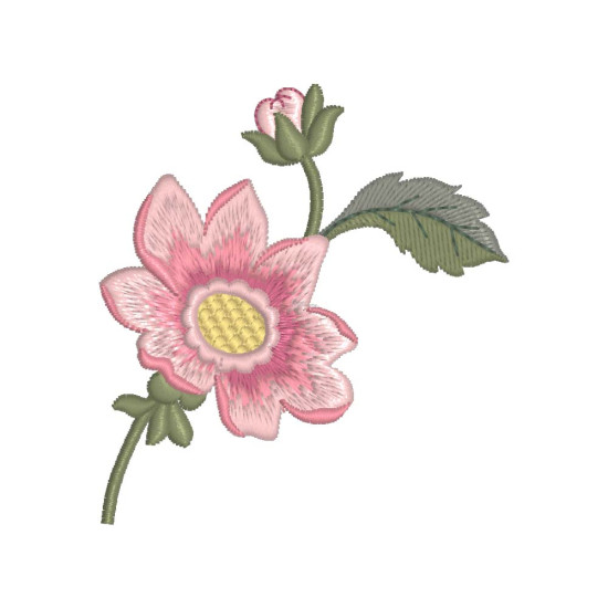 In my Graceful Garden 1