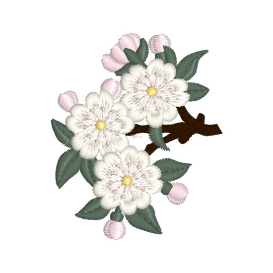 Japanese Blossoms 1