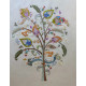 Jacobean Sampler 6 Tree of Life 