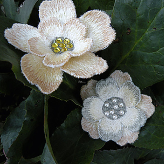 Mes Appliques Florales 1  